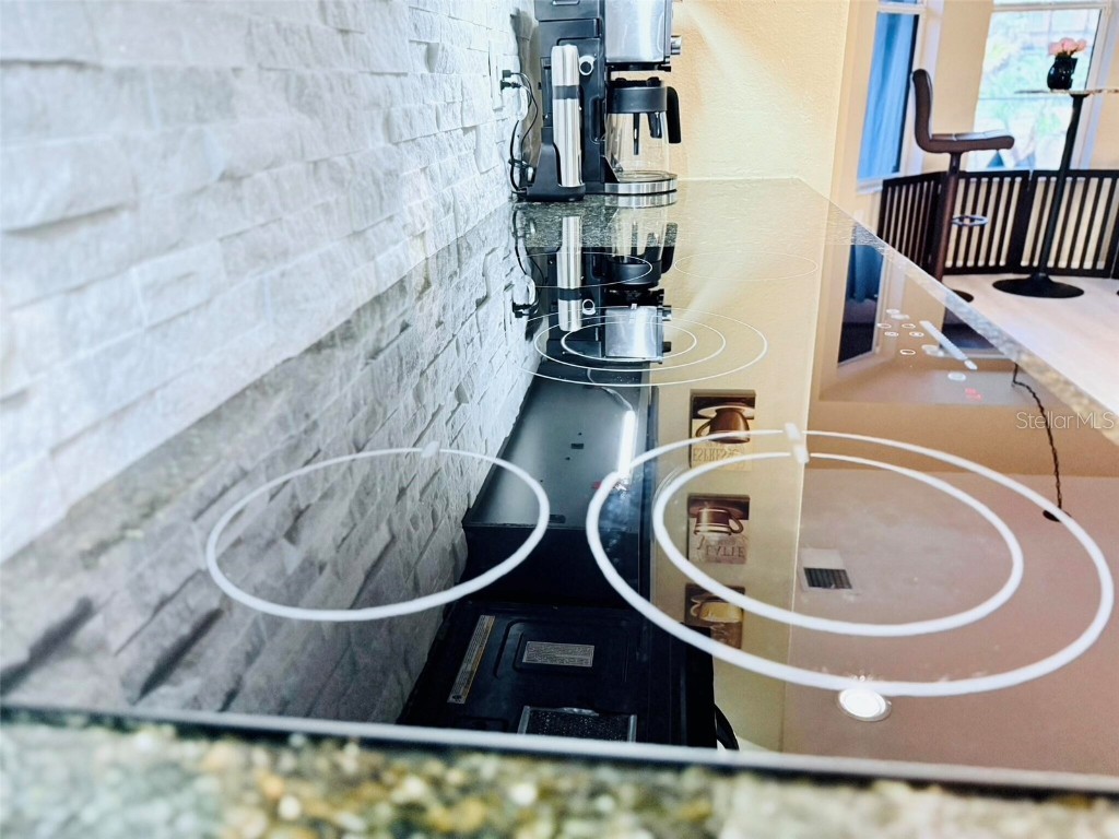 18018 Malakai Isle Drive Tampa FL 33647 O6362798 image10