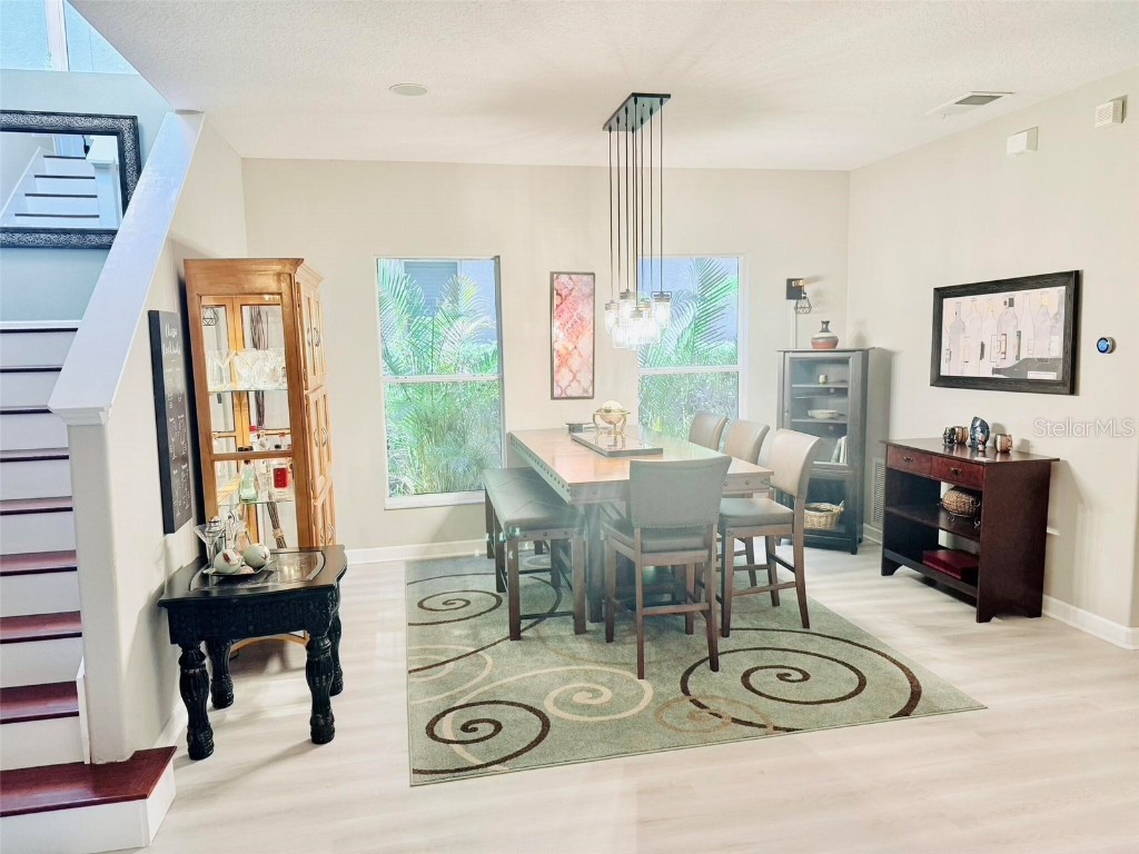 18018 Malakai Isle Drive Tampa FL 33647 O6362798 image3