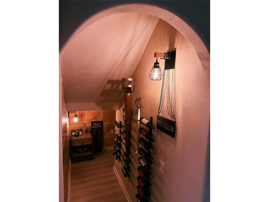 18018 Malakai Isle Drive Tampa FL 33647 O6362798 image33