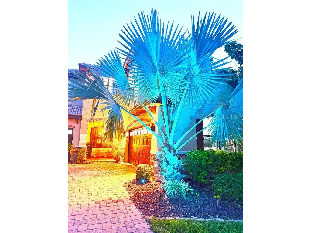 18018 Malakai Isle Drive Tampa FL 33647 O6362798 image37