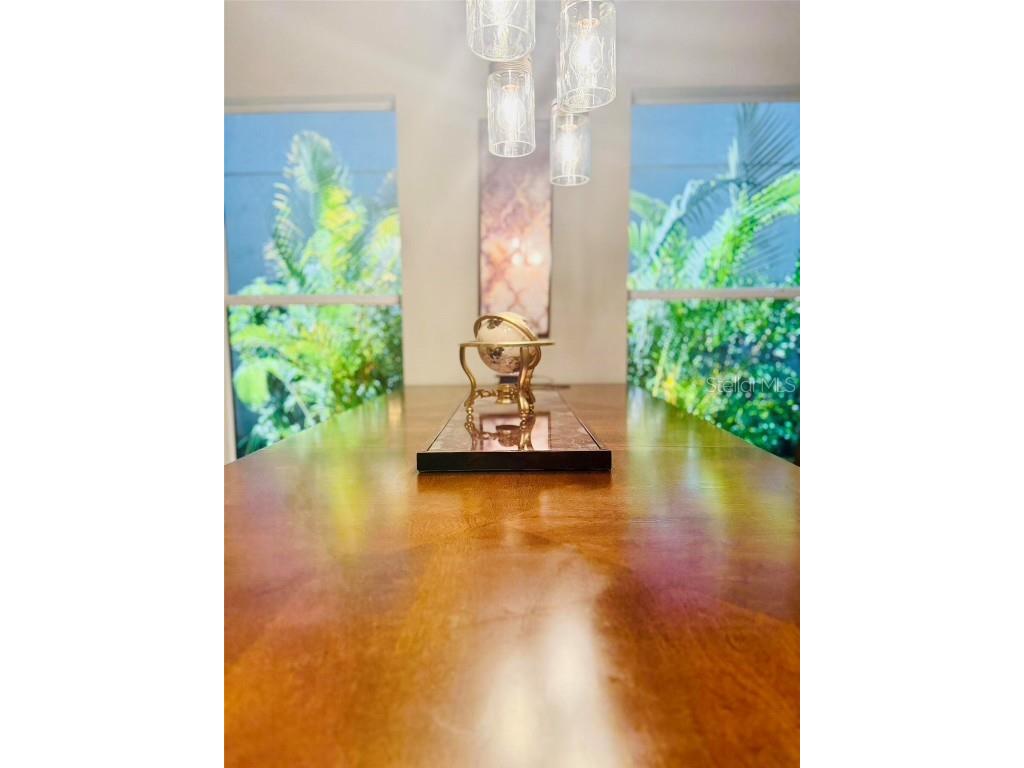 18018 Malakai Isle Drive Tampa FL 33647 O6362798 image4