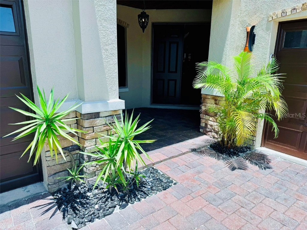 18018 Malakai Isle Drive Tampa FL 33647 O6362798 image42