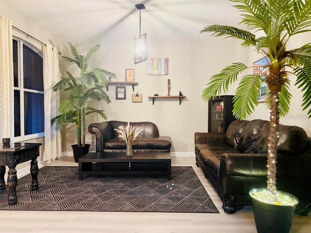 18018 Malakai Isle Drive Tampa FL 33647 O6362798 image5