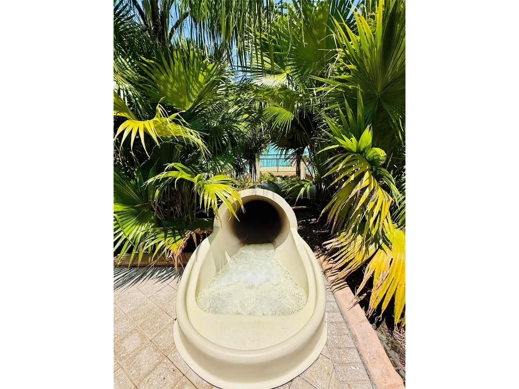 18018 Malakai Isle Drive Tampa FL 33647 O6362798 image66