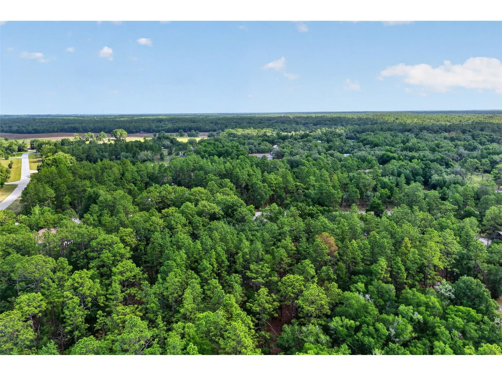 18018 SW 68th Loop Dunnellon FL 34432 OM725359 image31
