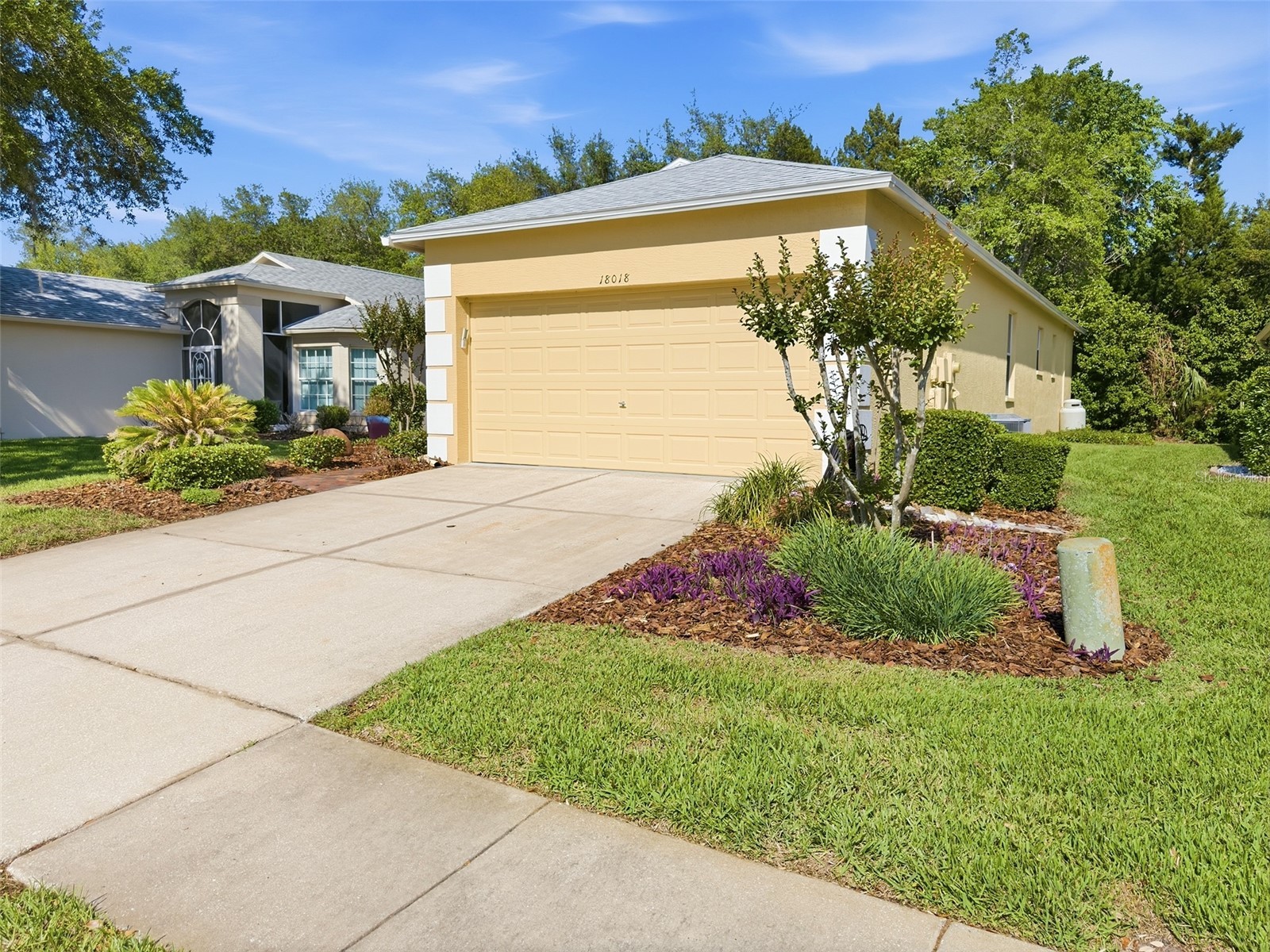 18018 Webster Grove Drive Hudson FL 34667 W7884952 image2