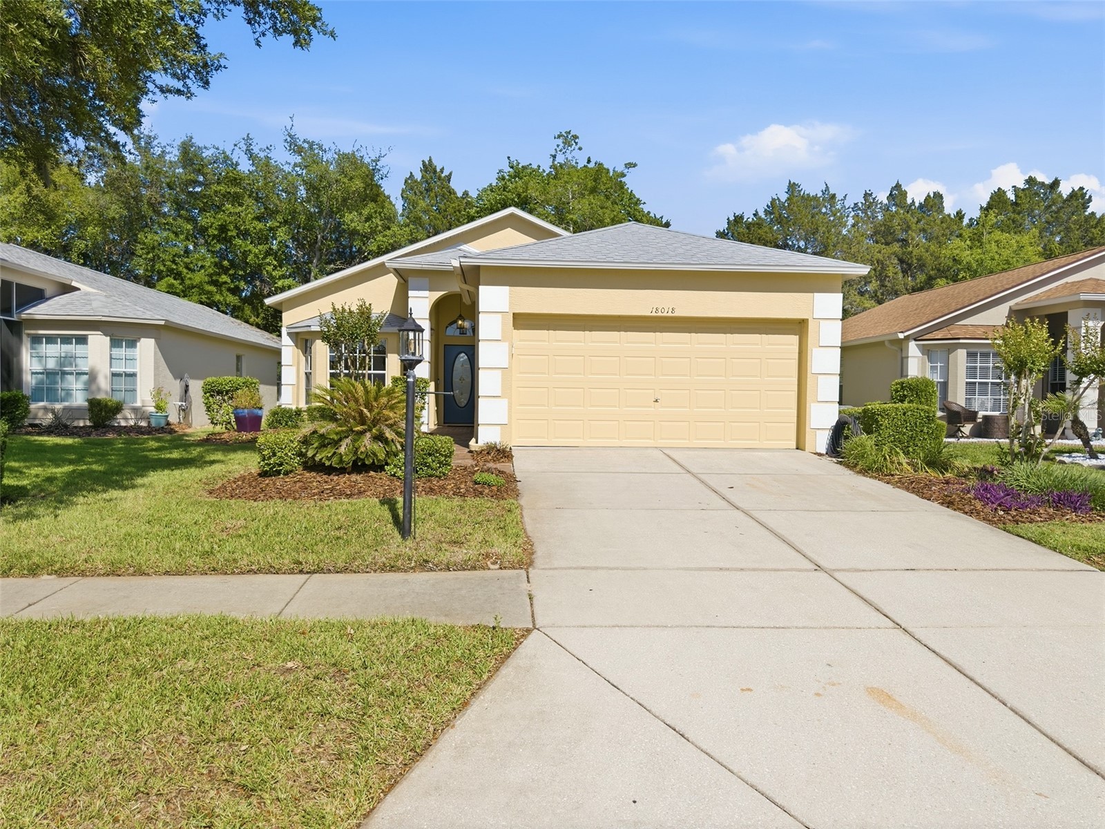 18018 Webster Grove Drive Hudson FL 34667 W7884952 image4