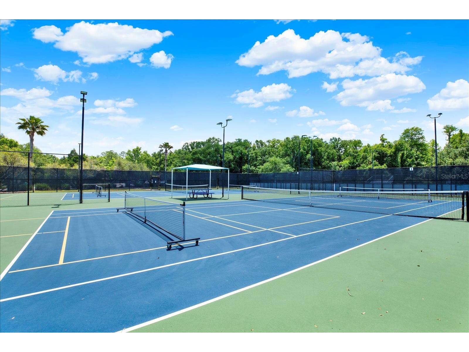 18019 Java Isle Drive Tampa FL 33647 - CORY LAKE TB8502513 image59
