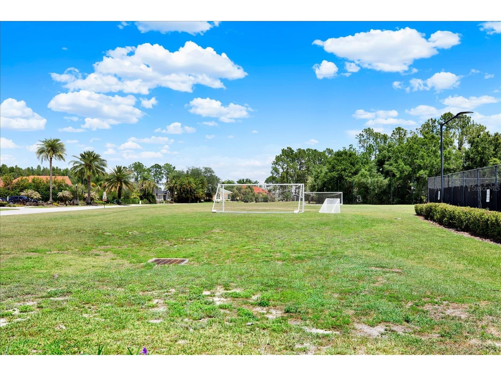 18019 Java Isle Drive Tampa FL 33647 - CORY LAKE TB8502513 image60