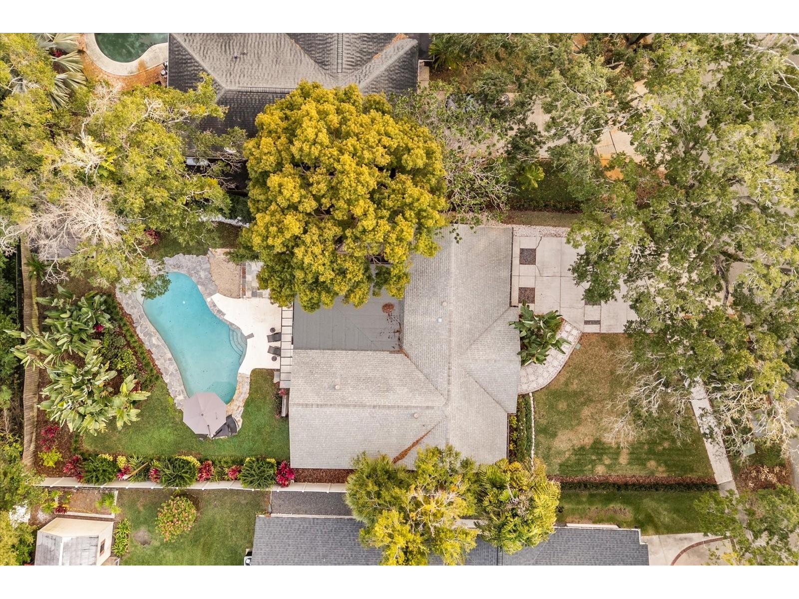 1802 Arbor Park Drive Winter Park FL 32789 O6389650 image34