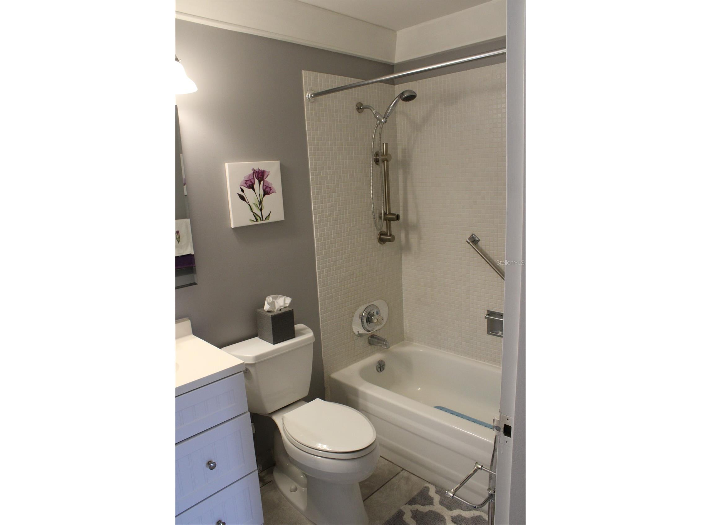 1802 Bedford Terrace #186 Sun City Center FL 33573 L4962723 image19