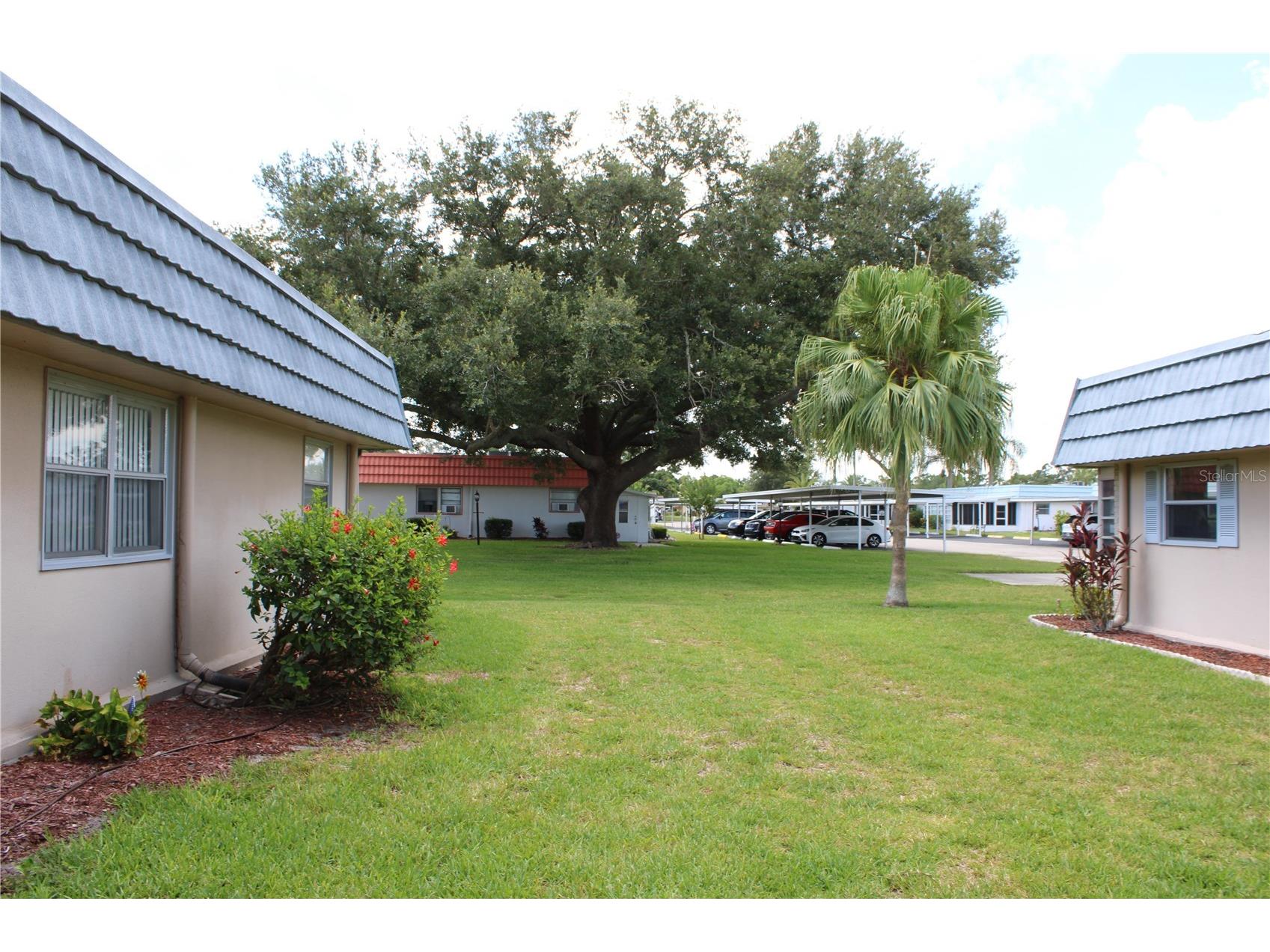 1802 Bedford Terrace #186 Sun City Center FL 33573 L4962723 image23