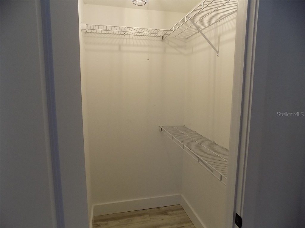 1802 Chinaberry Drive Oldsmar FL 34677 TB8439498 image13