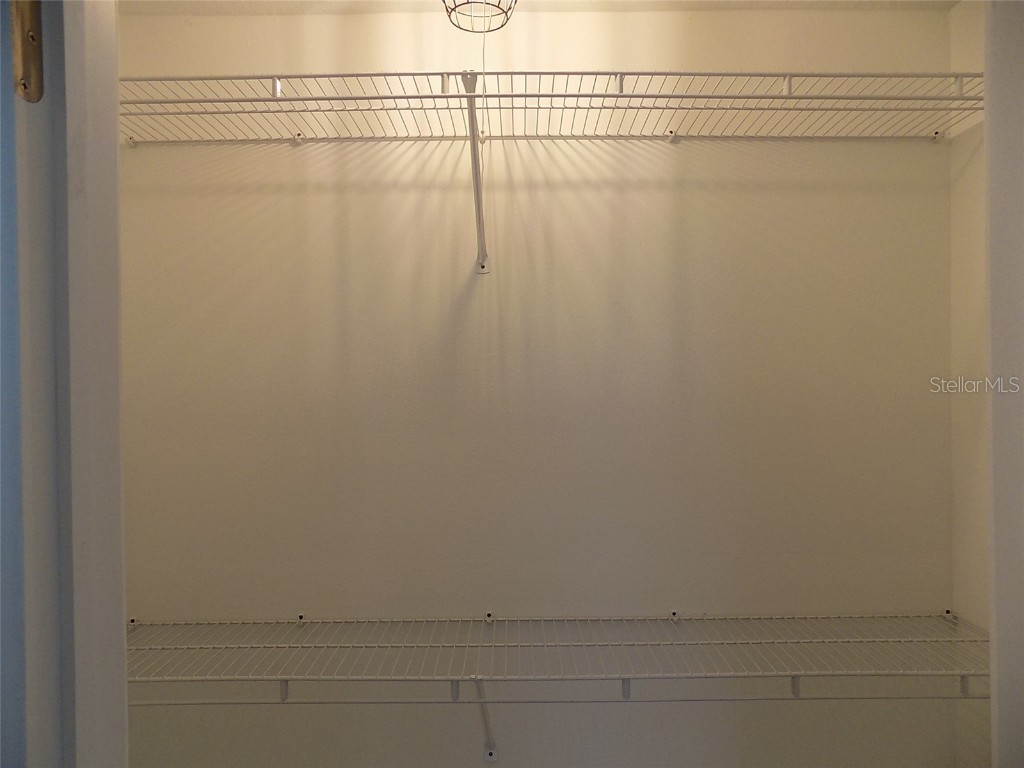 1802 Chinaberry Drive Oldsmar FL 34677 TB8439498 image15