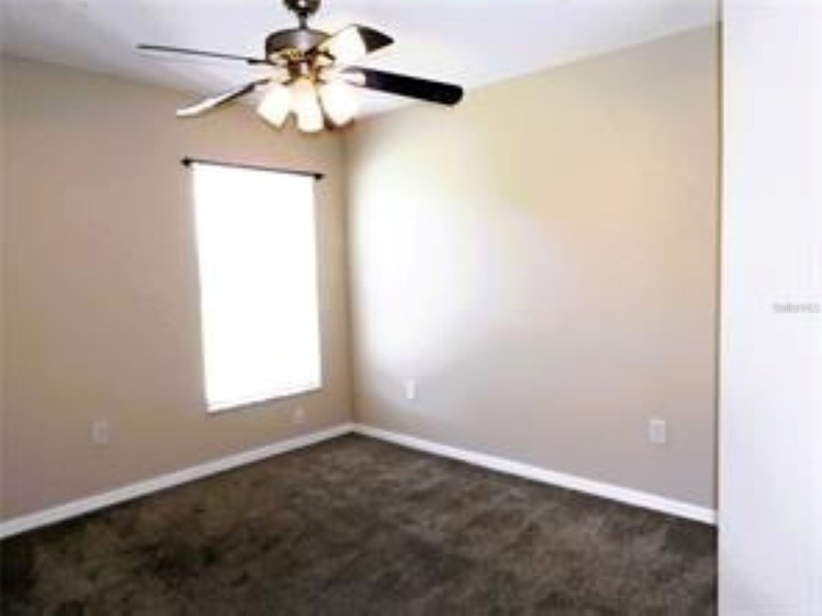 1802 Durkee Place Brandon FL 33511 TB8468897 image15