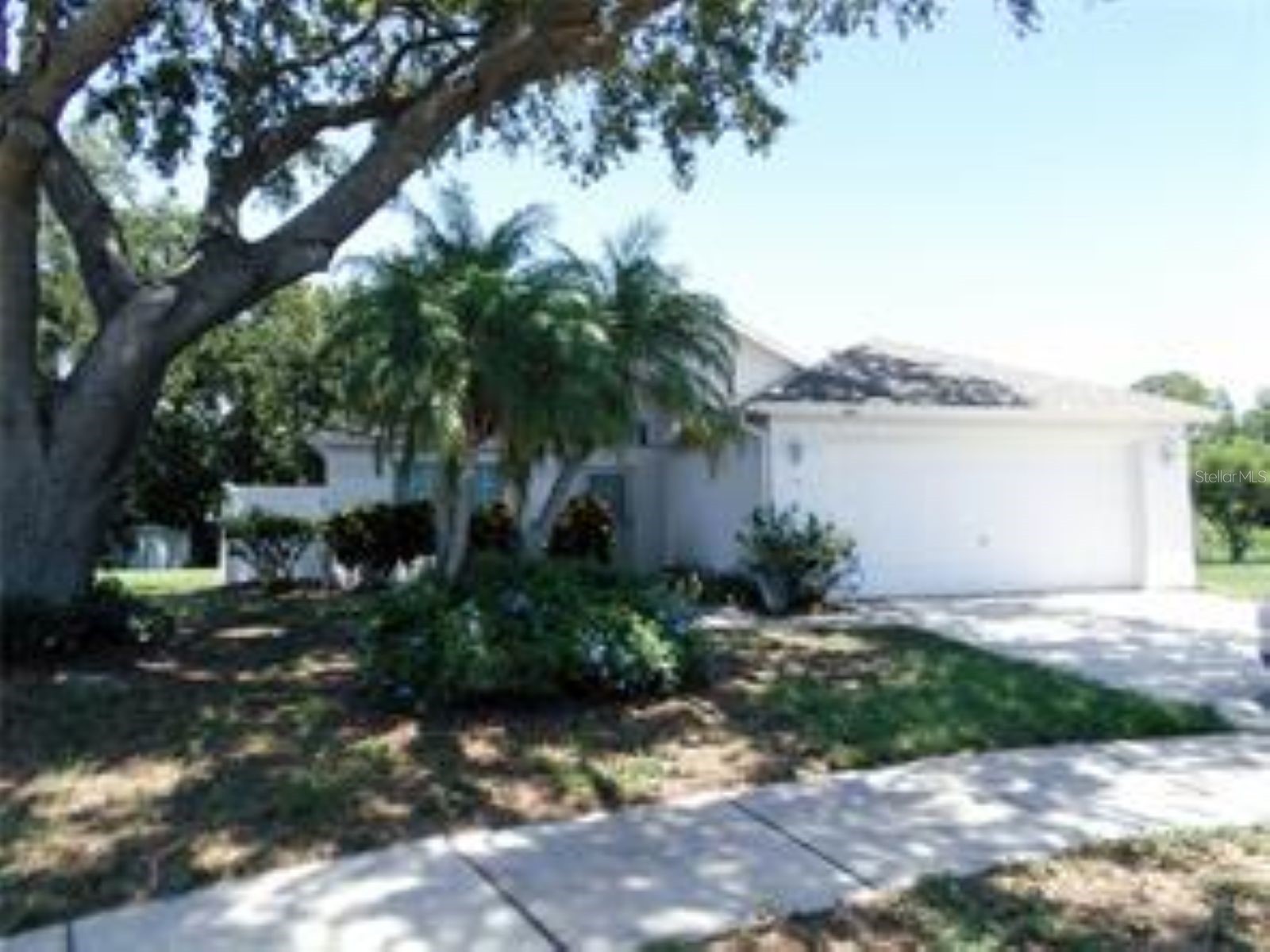 1802 Durkee Place Brandon FL 33511 TB8468897 image2