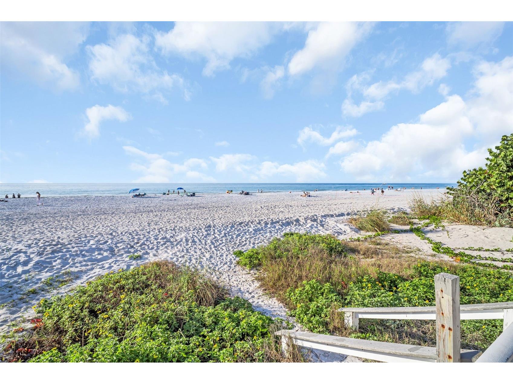1802 Gulf Boulevard #12 Indian Rocks Beach FL 33785 TB8463721 image37