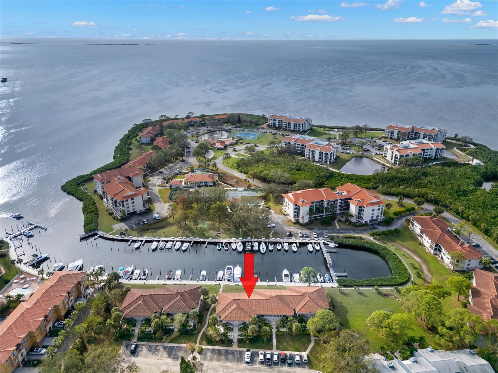 1802 Mariner Drive #21 Tarpon Springs FL 34689 - GULF OF MEXICO TB8463368 image1