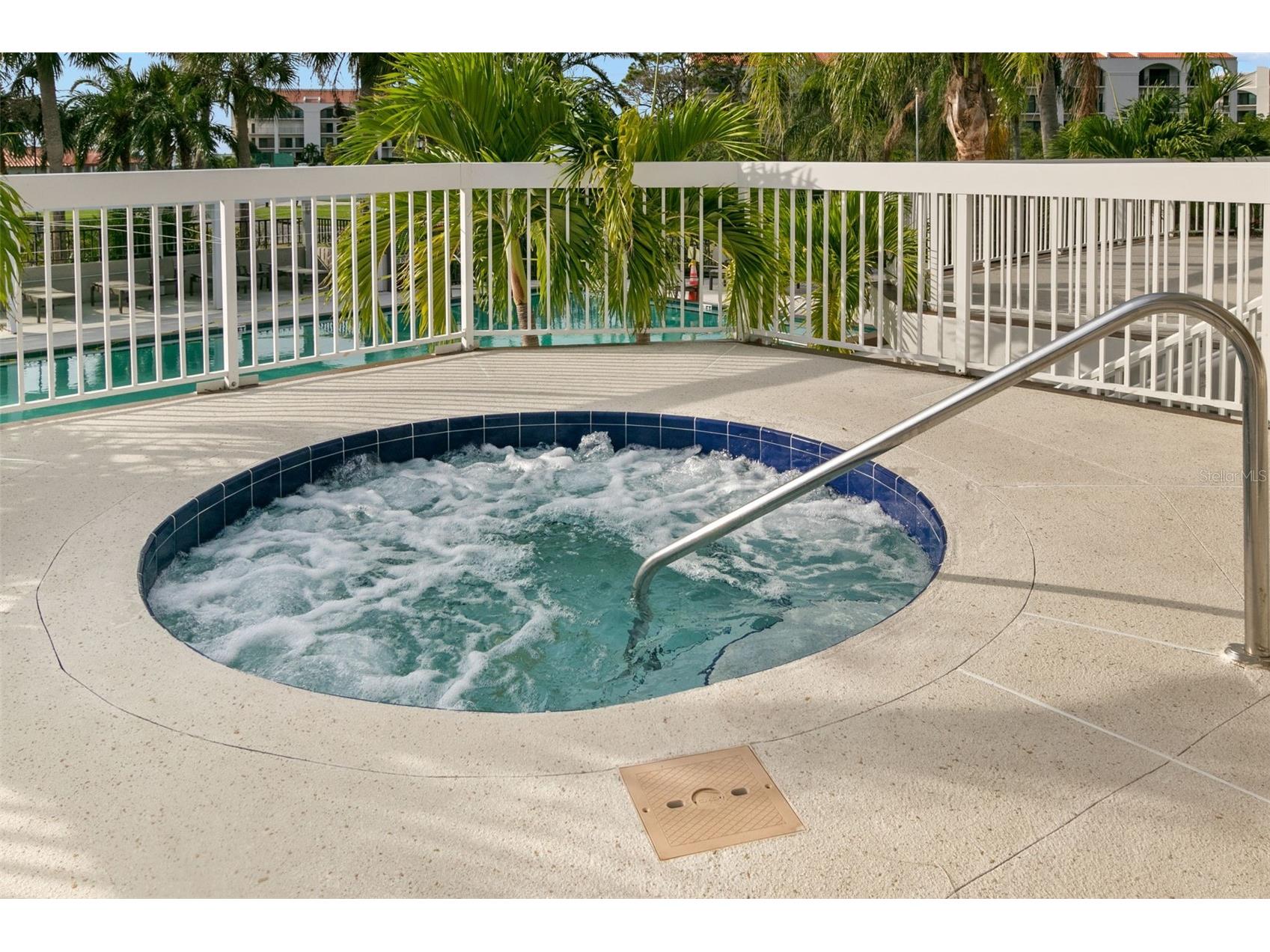 1802 Mariner Drive #21 Tarpon Springs FL 34689 - GULF OF MEXICO TB8463368 image41