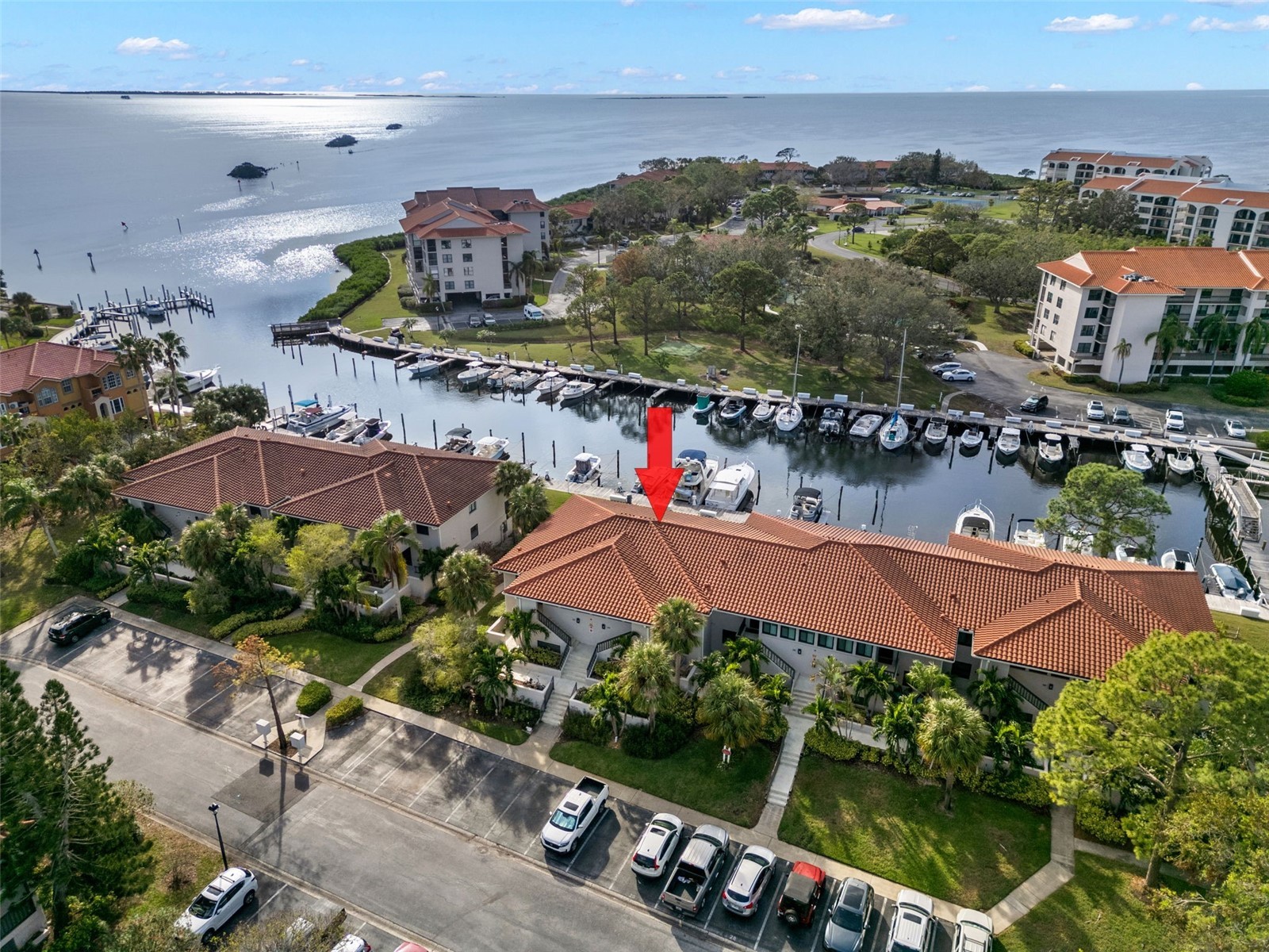 1802 Mariner Drive #21 Tarpon Springs FL 34689 - GULF OF MEXICO TB8463368 image46