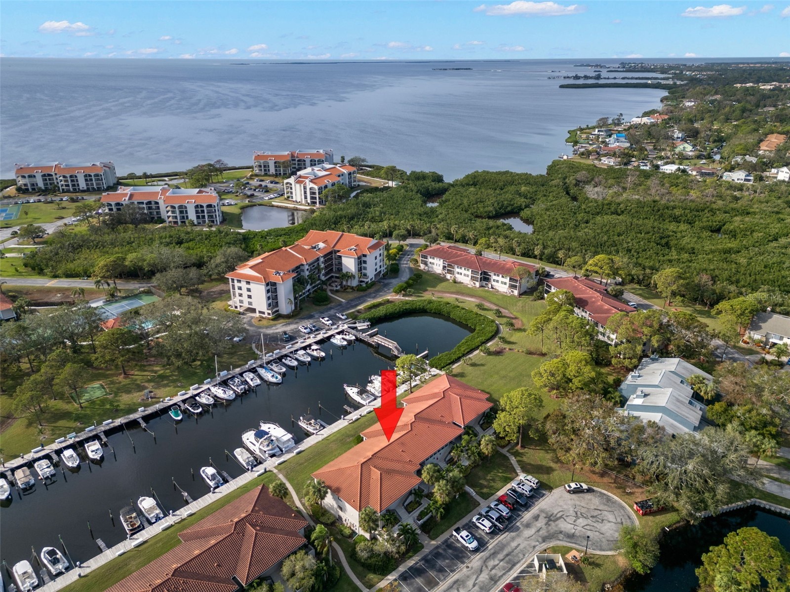1802 Mariner Drive #21 Tarpon Springs FL 34689 - GULF OF MEXICO TB8463368 image47