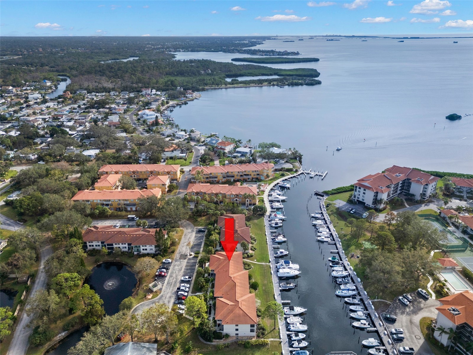 1802 Mariner Drive #21 Tarpon Springs FL 34689 - GULF OF MEXICO TB8463368 image48
