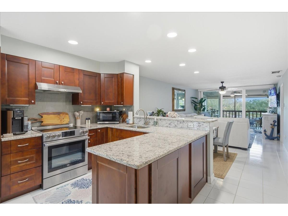 1802 Mariner Drive #30 Tarpon Springs FL 34689 TB8479014 image3