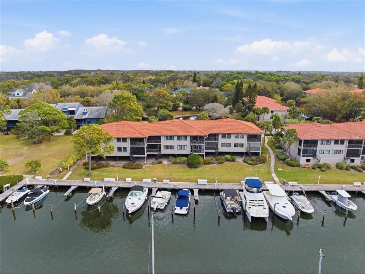 1802 Mariner Drive #30 Tarpon Springs FL 34689 TB8479014 image38
