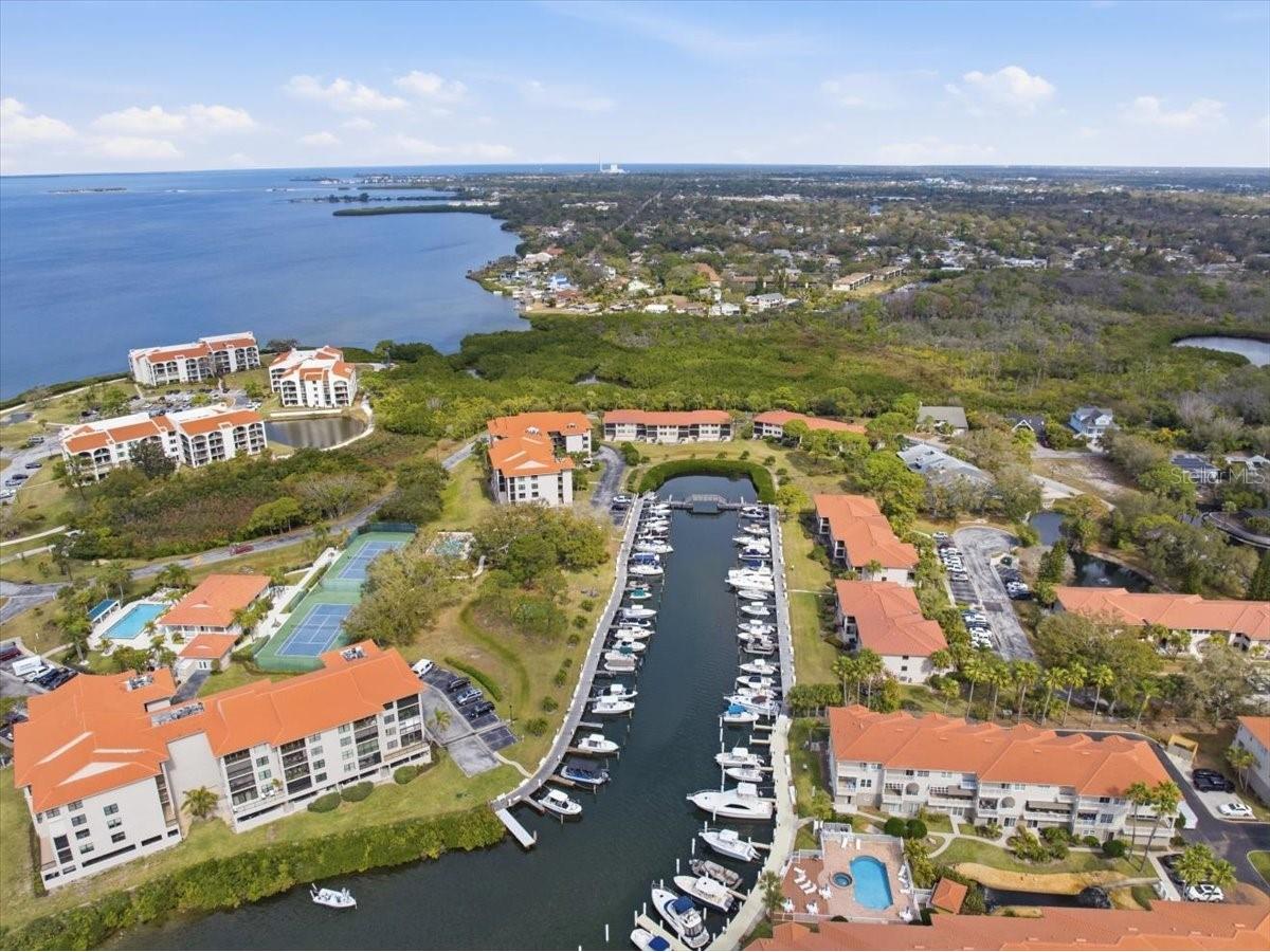 1802 Mariner Drive #30 Tarpon Springs FL 34689 TB8479014 image66