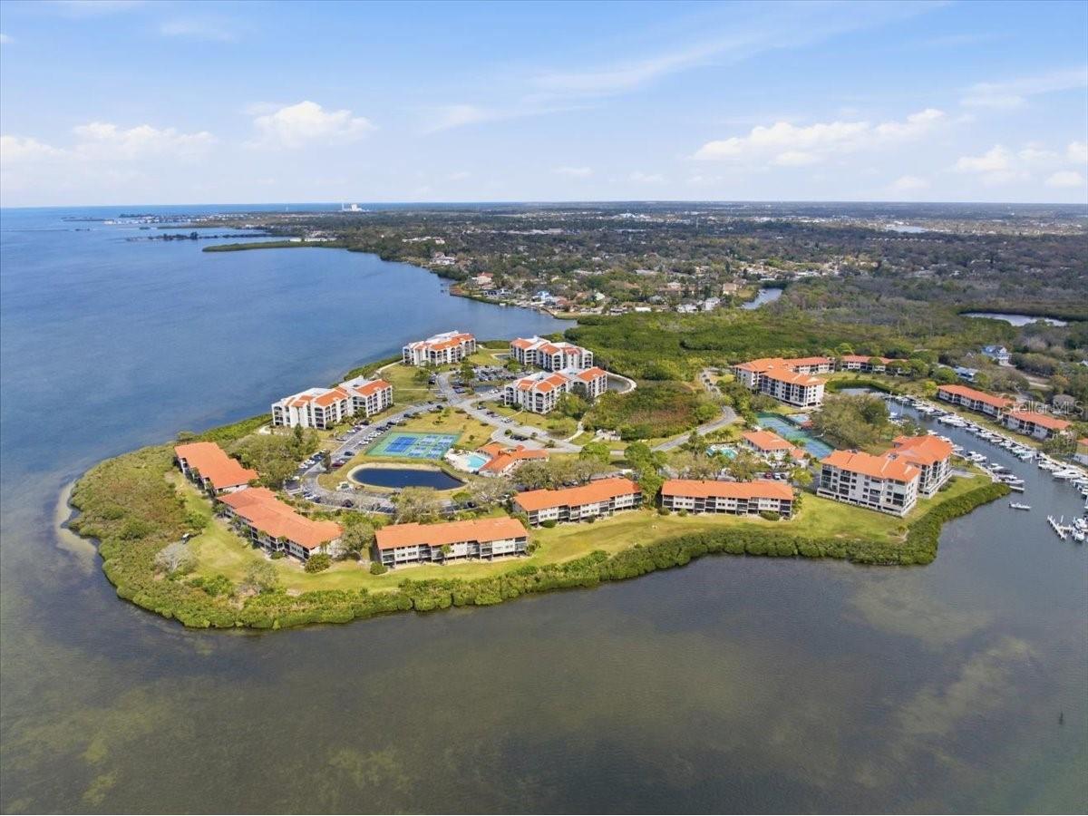 1802 Mariner Drive #30 Tarpon Springs FL 34689 TB8479014 image67