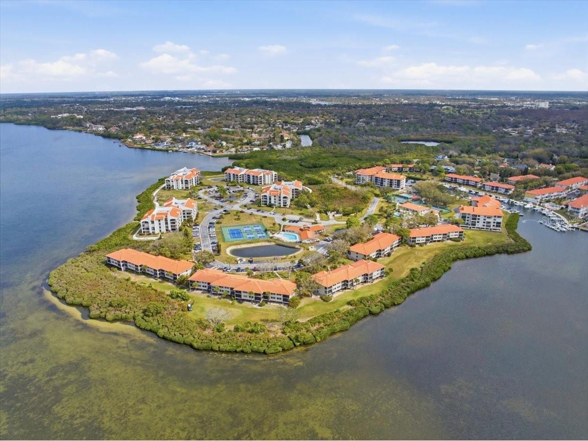 1802 Mariner Drive #30 Tarpon Springs FL 34689 TB8479014 image68