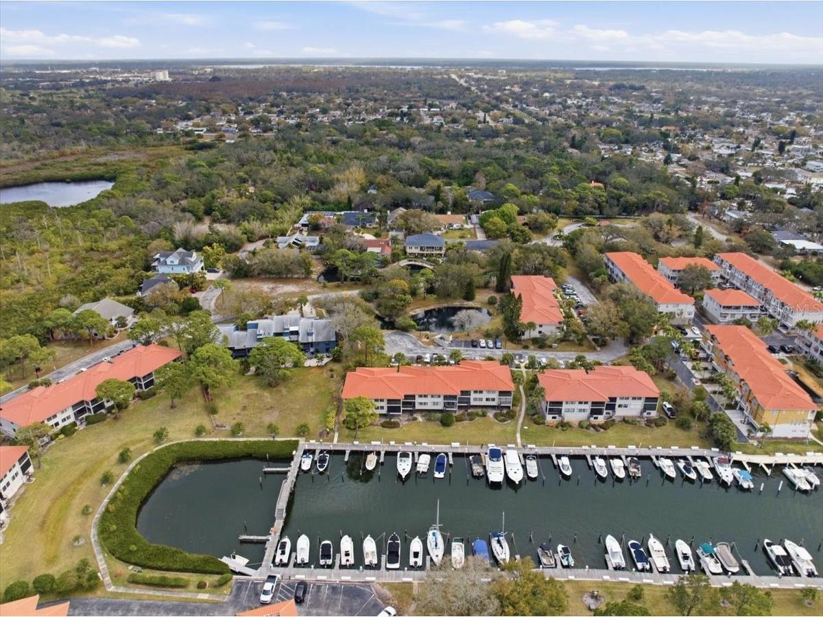 1802 Mariner Drive #30 Tarpon Springs FL 34689 TB8479014 image69