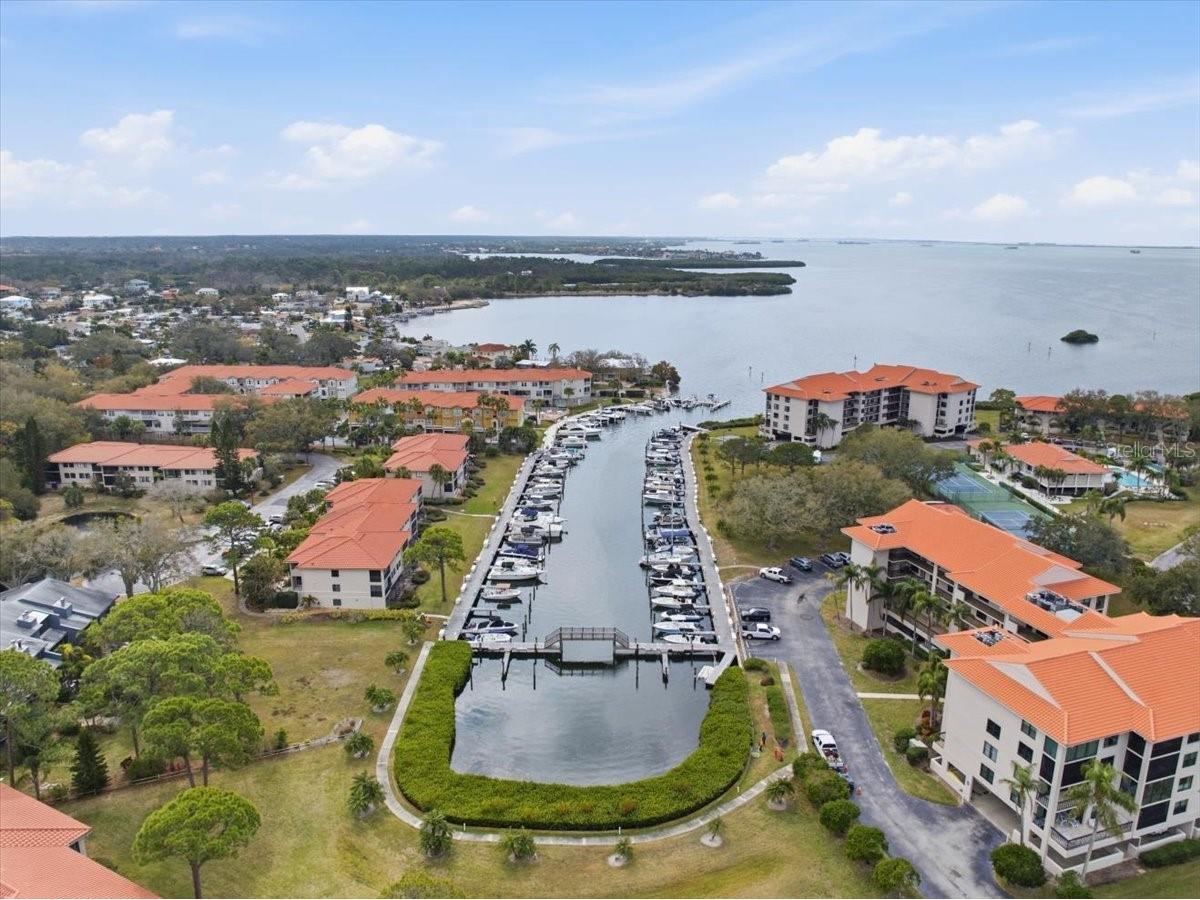 1802 Mariner Drive #30 Tarpon Springs FL 34689 TB8479014 image70