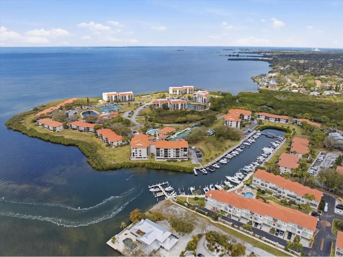 1802 Mariner Drive #30 Tarpon Springs FL 34689 TB8479014 image72