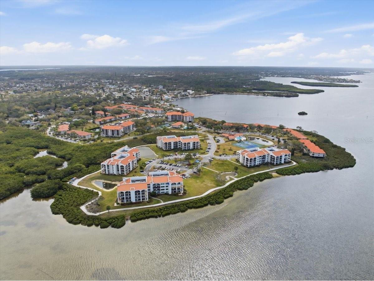 1802 Mariner Drive #30 Tarpon Springs FL 34689 TB8479014 image73