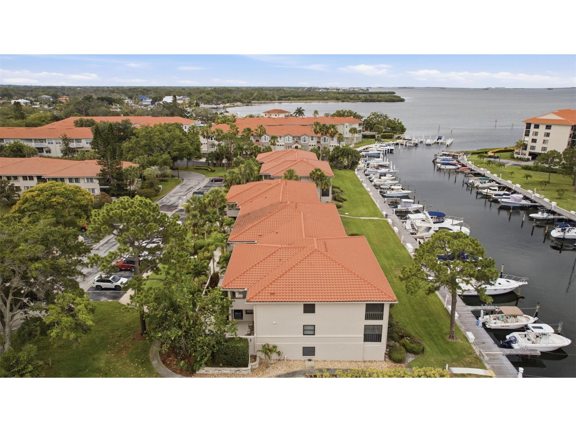 1802 Mariner Drive E #25 Tarpon Springs FL 34689 TB8510783 image26