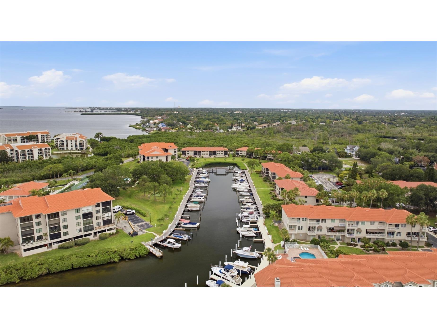 1802 Mariner Drive E #25 Tarpon Springs FL 34689 TB8510783 image33