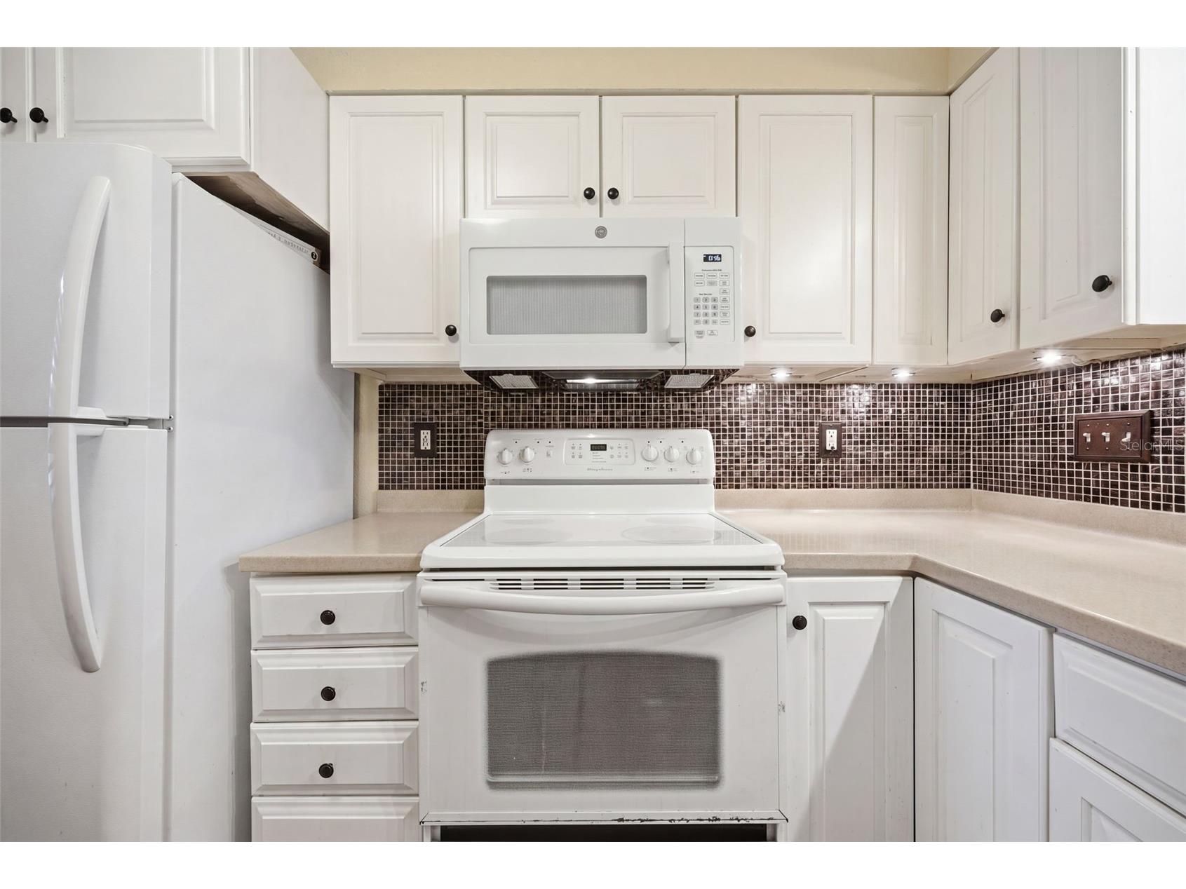 1802 Mariner Drive E #25 Tarpon Springs FL 34689 TB8510783 image7