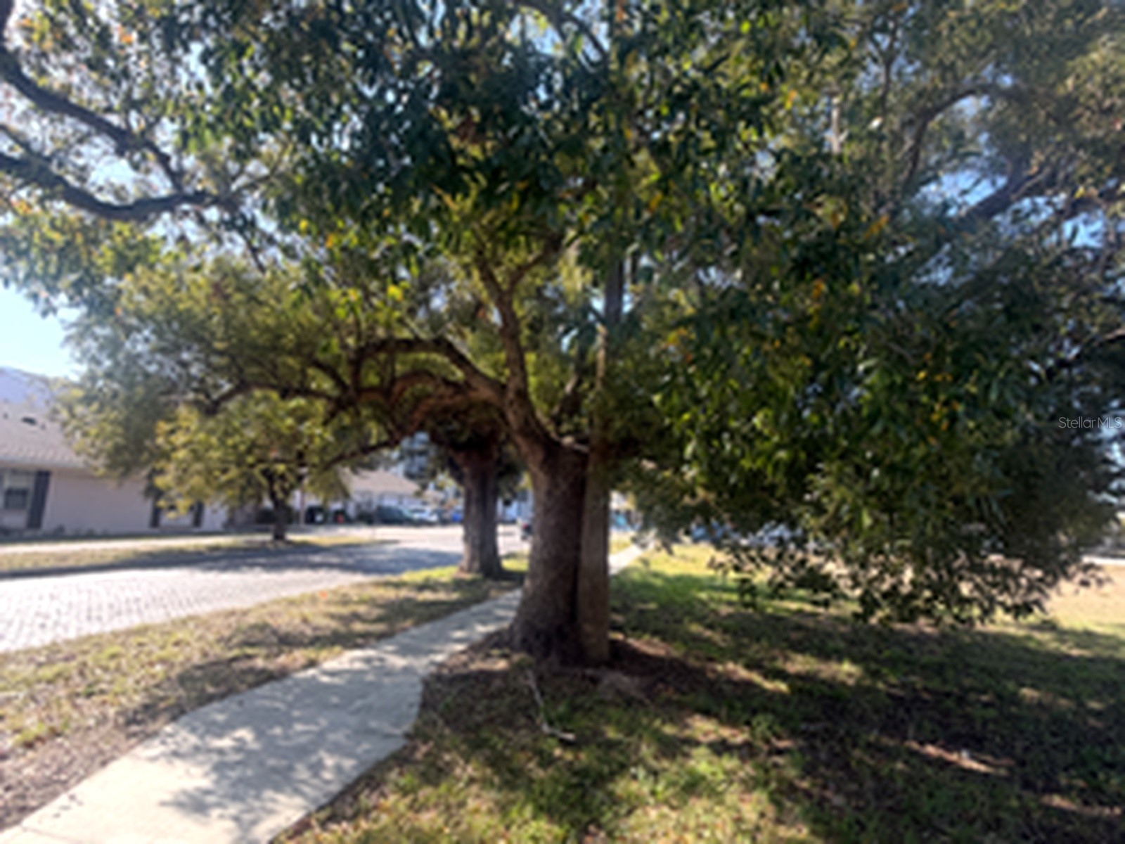 1802 N Mitchell Avenue Tampa FL 33602 TB8483577 image4