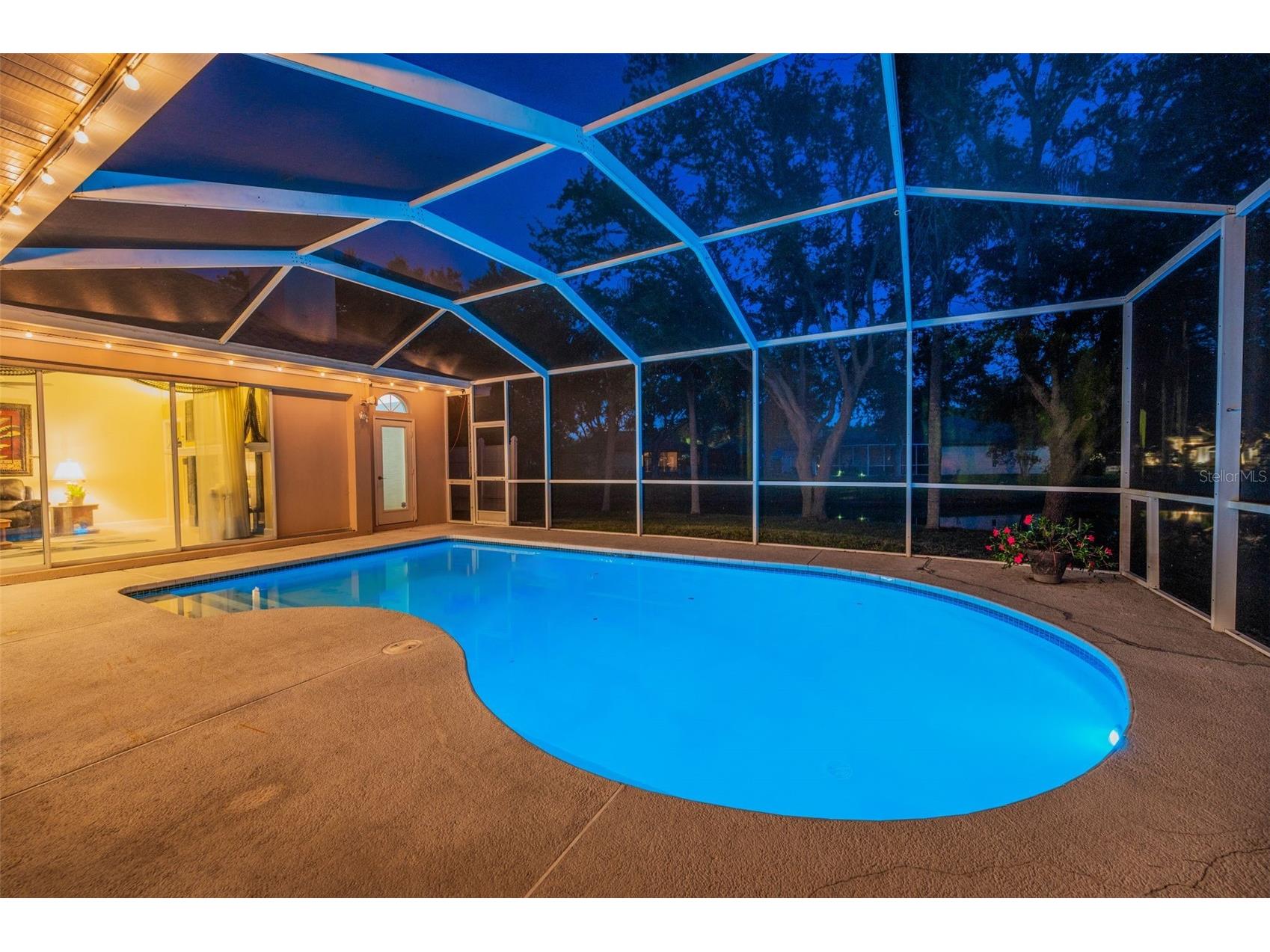 1802 Oak Ridge Road Safety Harbor FL 34695 TB8503235 image43
