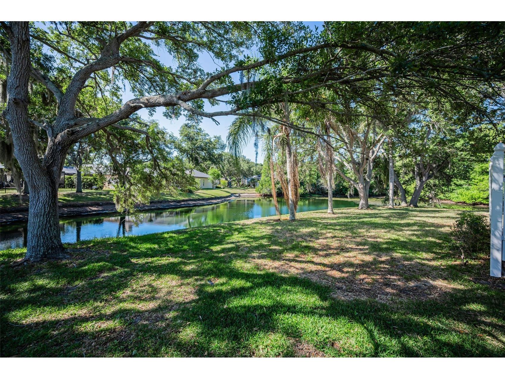1802 Oak Ridge Road Safety Harbor FL 34695 TB8503235 image47
