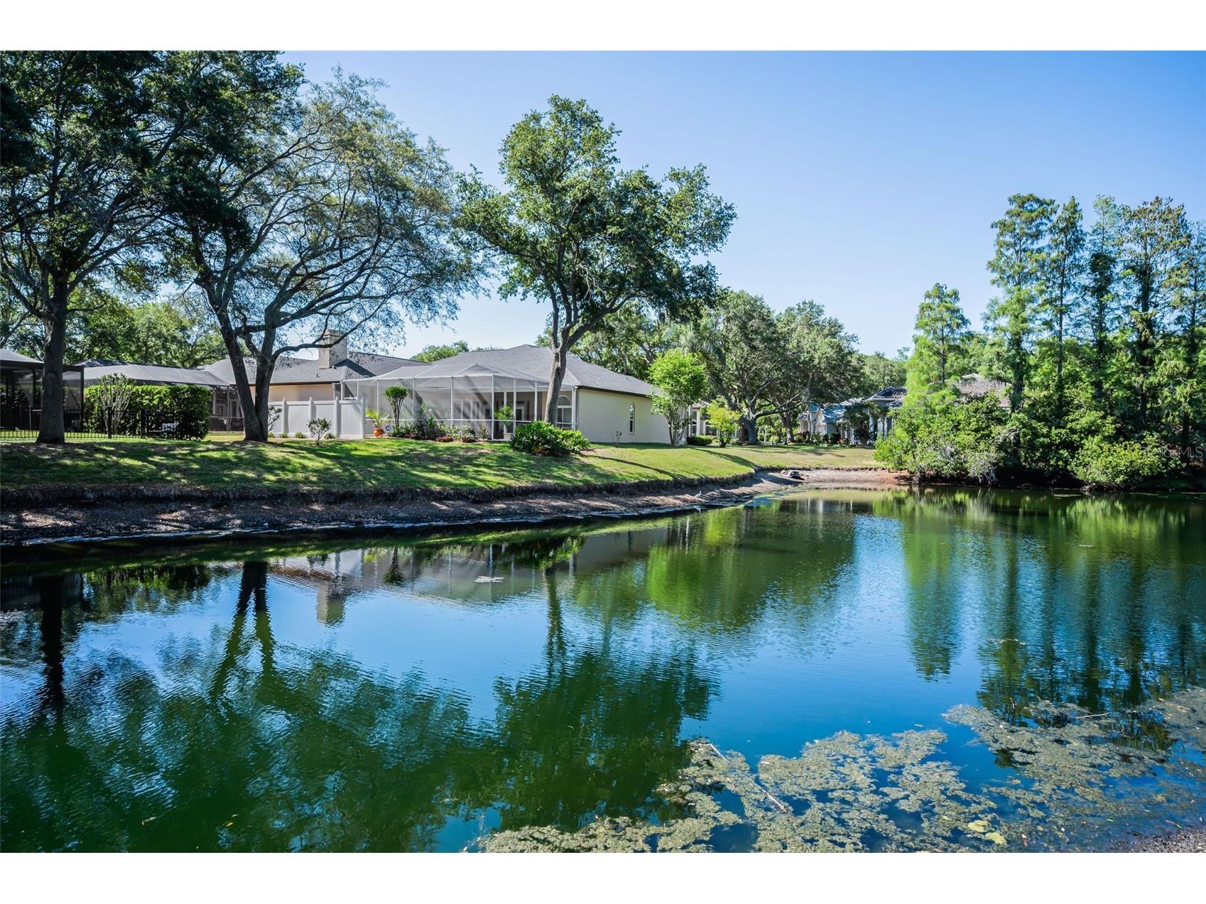 1802 Oak Ridge Road Safety Harbor FL 34695 TB8503235 image48