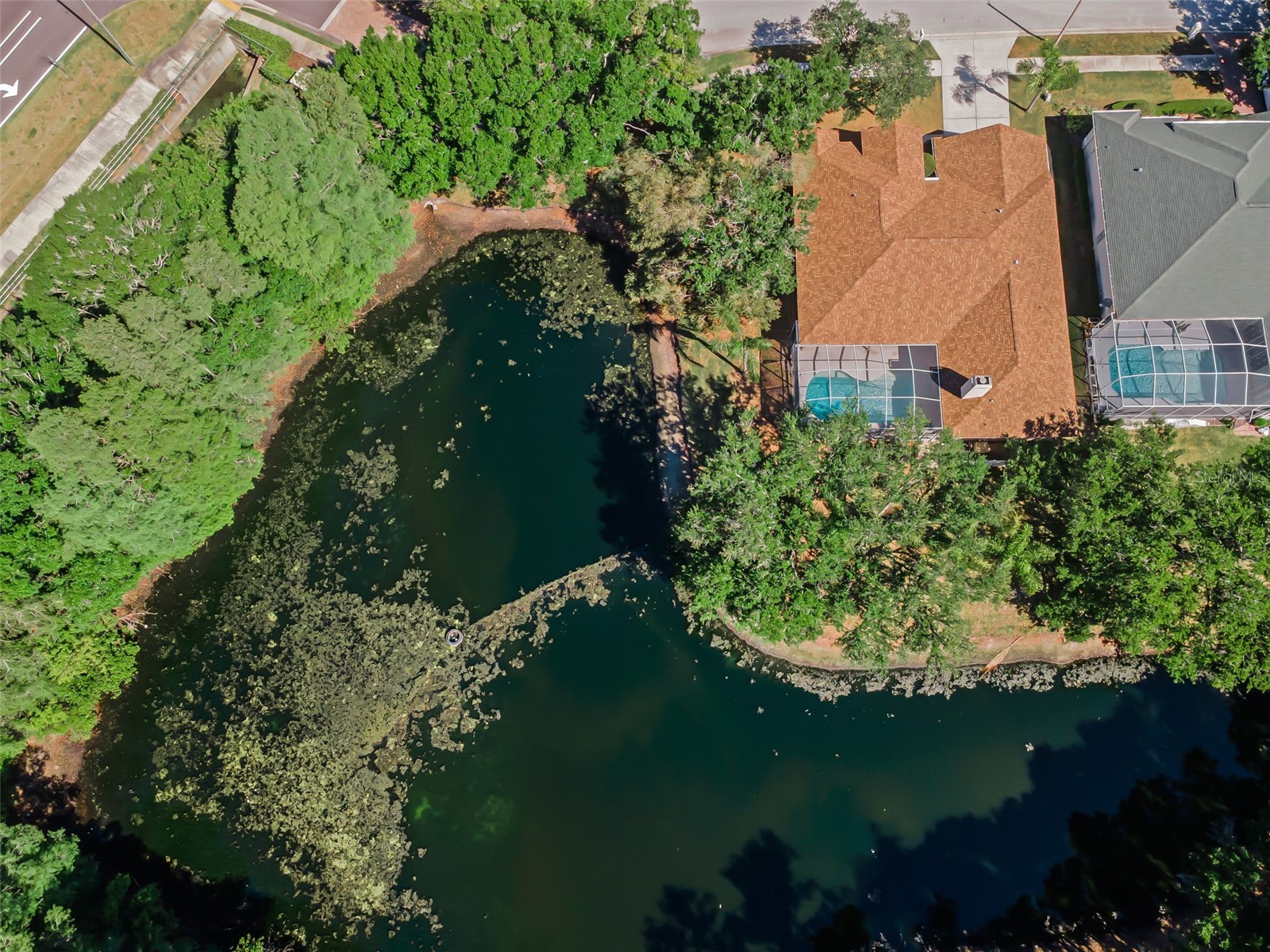 1802 Oak Ridge Road Safety Harbor FL 34695 TB8503235 image49