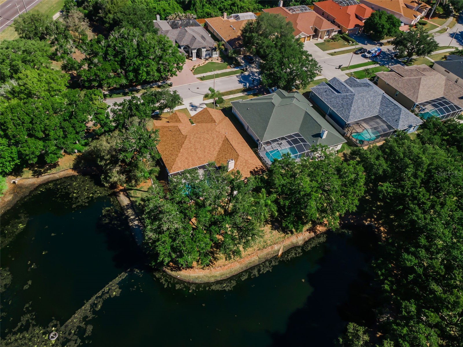 1802 Oak Ridge Road Safety Harbor FL 34695 TB8503235 image5