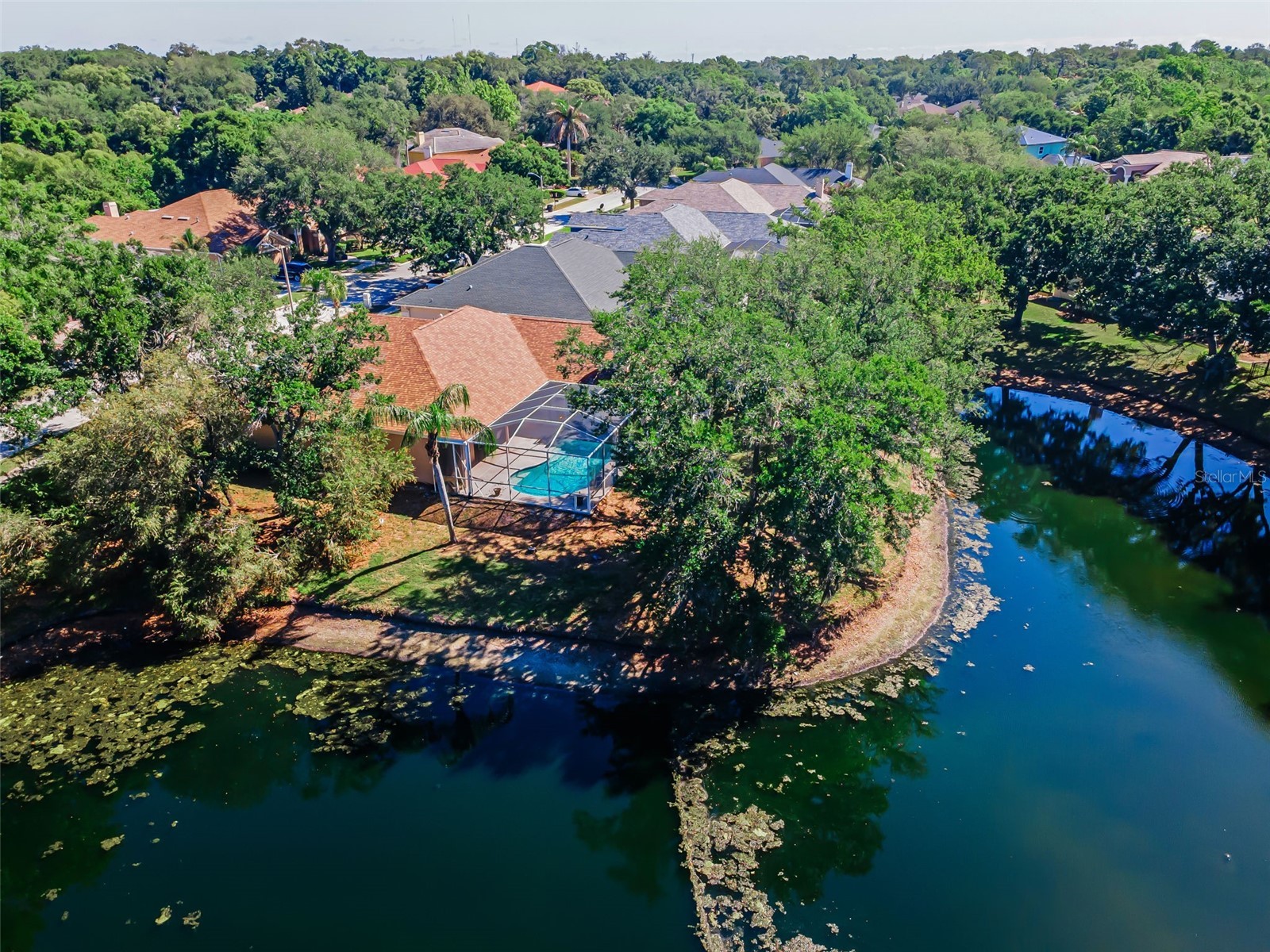 1802 Oak Ridge Road Safety Harbor FL 34695 TB8503235 image50