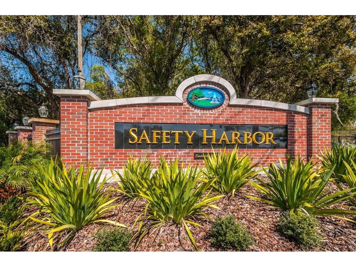 1802 Oak Ridge Road Safety Harbor FL 34695 TB8503235 image54
