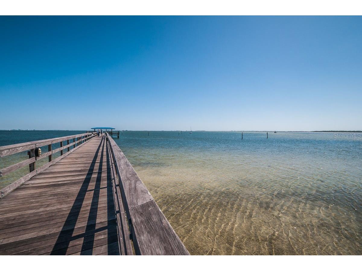 1802 Oak Ridge Road Safety Harbor FL 34695 TB8503235 image66
