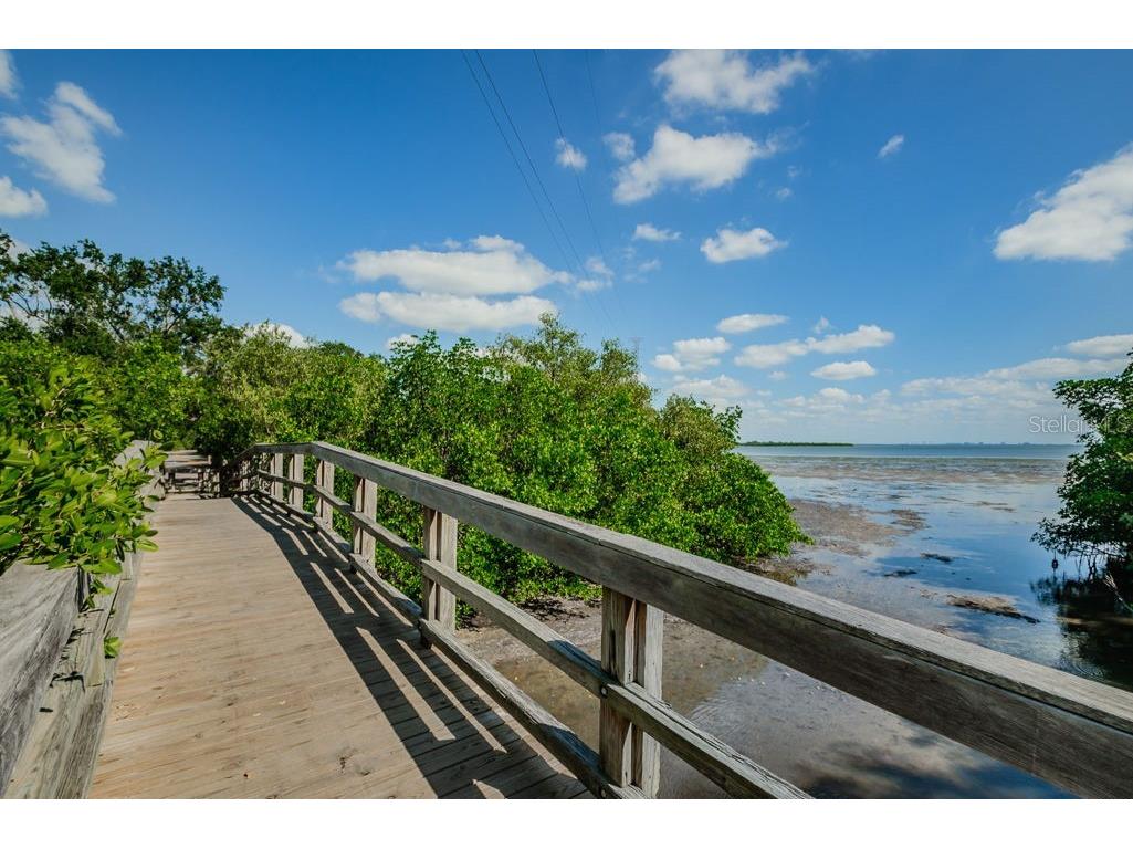 1802 Oak Ridge Road Safety Harbor FL 34695 TB8503235 image74