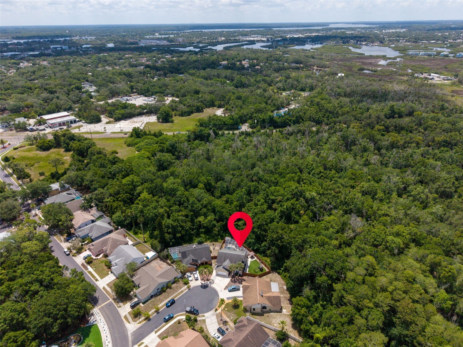 1802 Wood Stock Circle Tarpon Springs FL 34689 TB8510519 image51