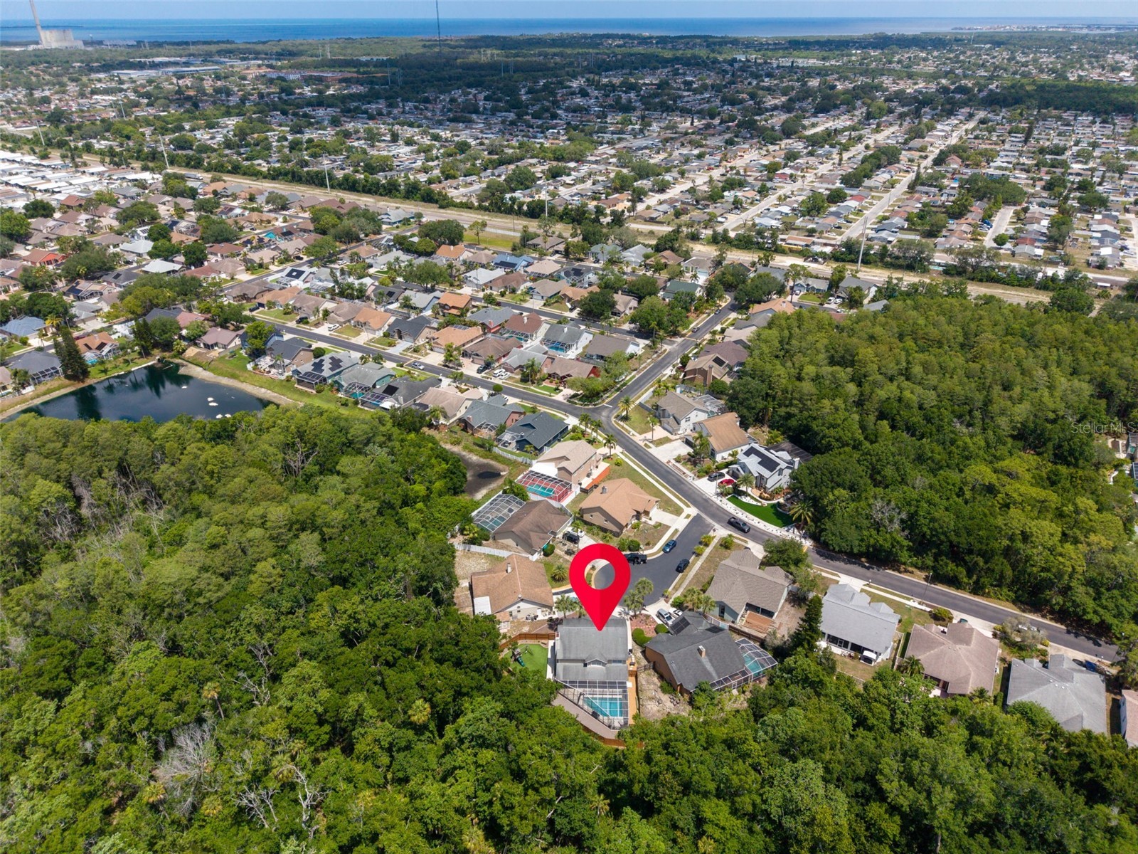 1802 Wood Stock Circle Tarpon Springs FL 34689 TB8510519 image52